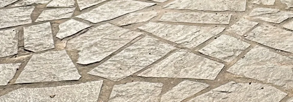 Menu alla carta